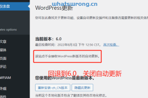 wordpress 6.0.1错误